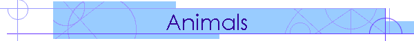 Animals
